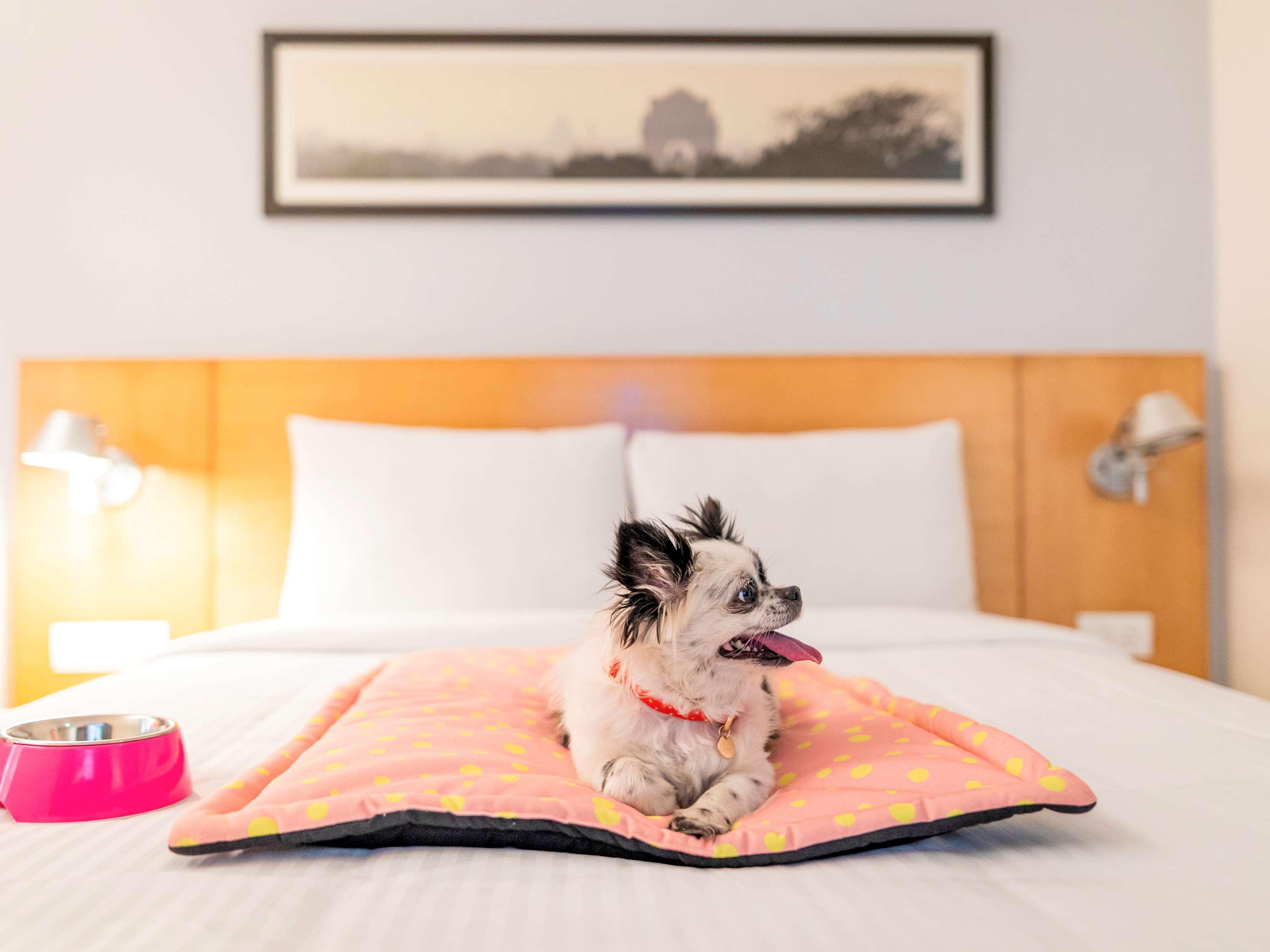 Ibis Kochi City Centre - An Accor Brand Экстерьер фото