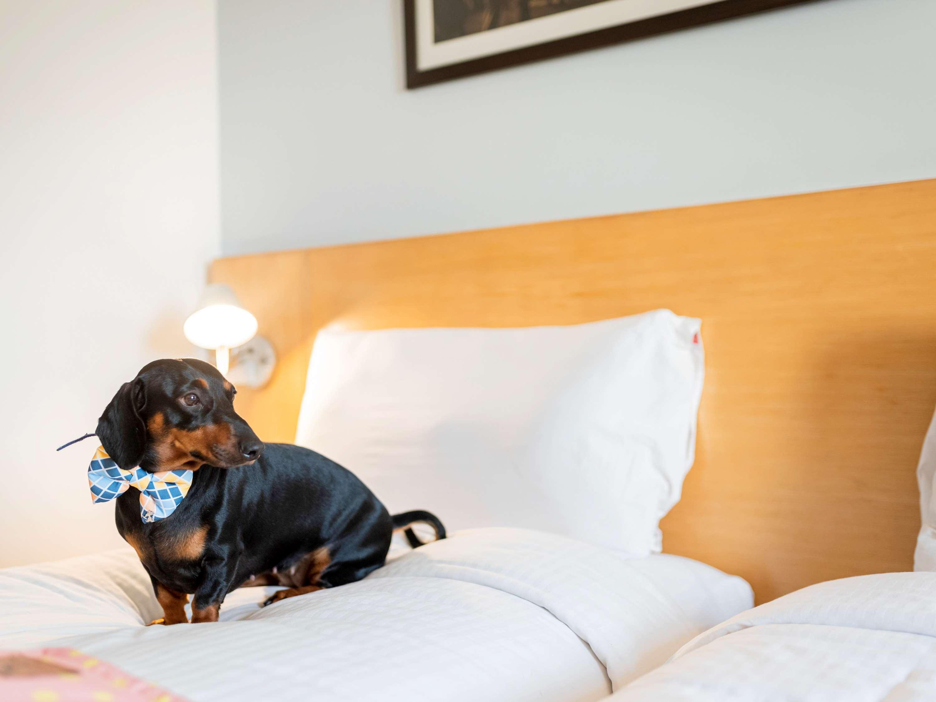 Ibis Kochi City Centre - An Accor Brand Экстерьер фото